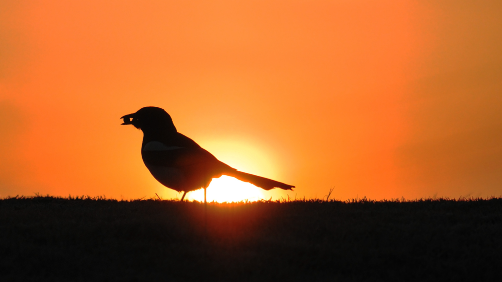 Careers For Creative People