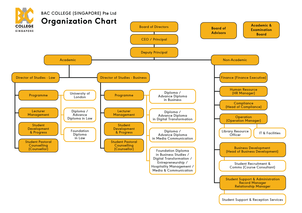 BAC COLLEGE (SINGAPORE) Pte Ltd Organization Chart